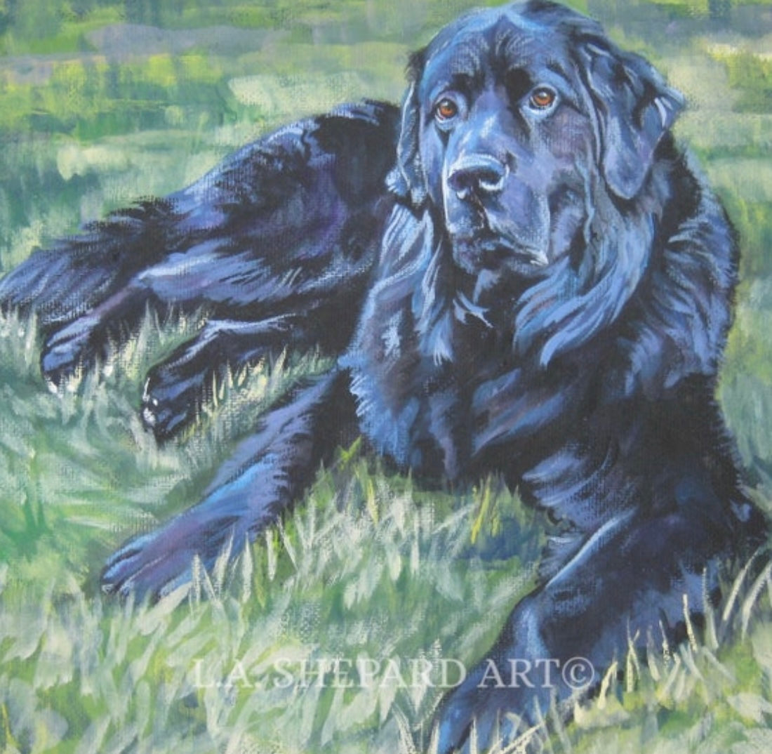 Newfoundlander Laying in the Grass by Artist LA Shepard