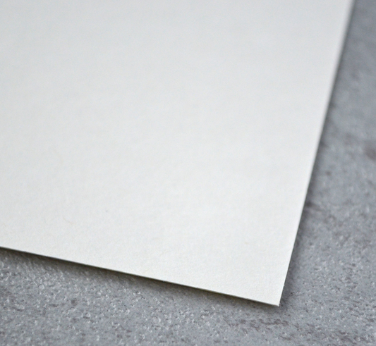 Newfoundlander "My Pretty Landseer (Newfoundlander)" Giclée Print of Original Painting by LEA