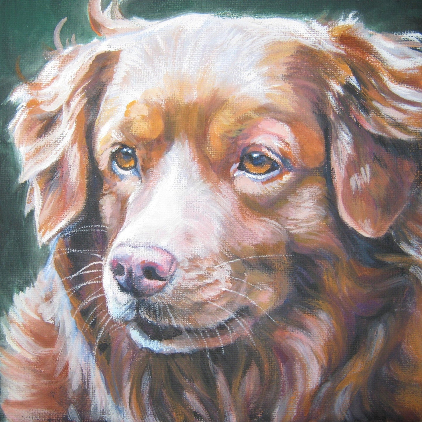 Nova Scotia Duck Tolling Retriever TOLLER portrait dog ART canvas PRINT of LAShepard painting 8x8"