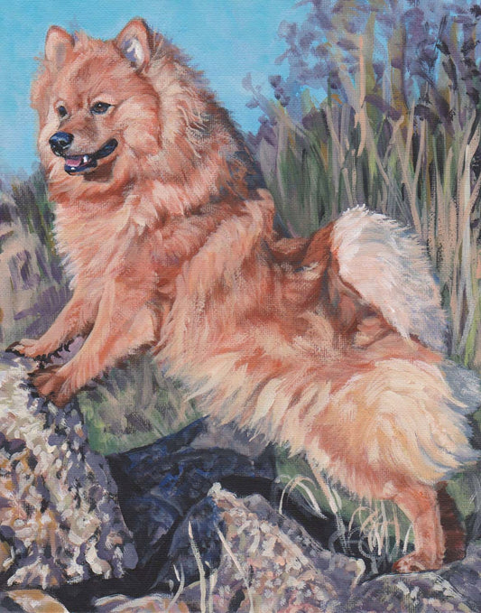 GERMAN SPITZ dog art Canvas Print of LAShepard painting LSHEP 11x14"