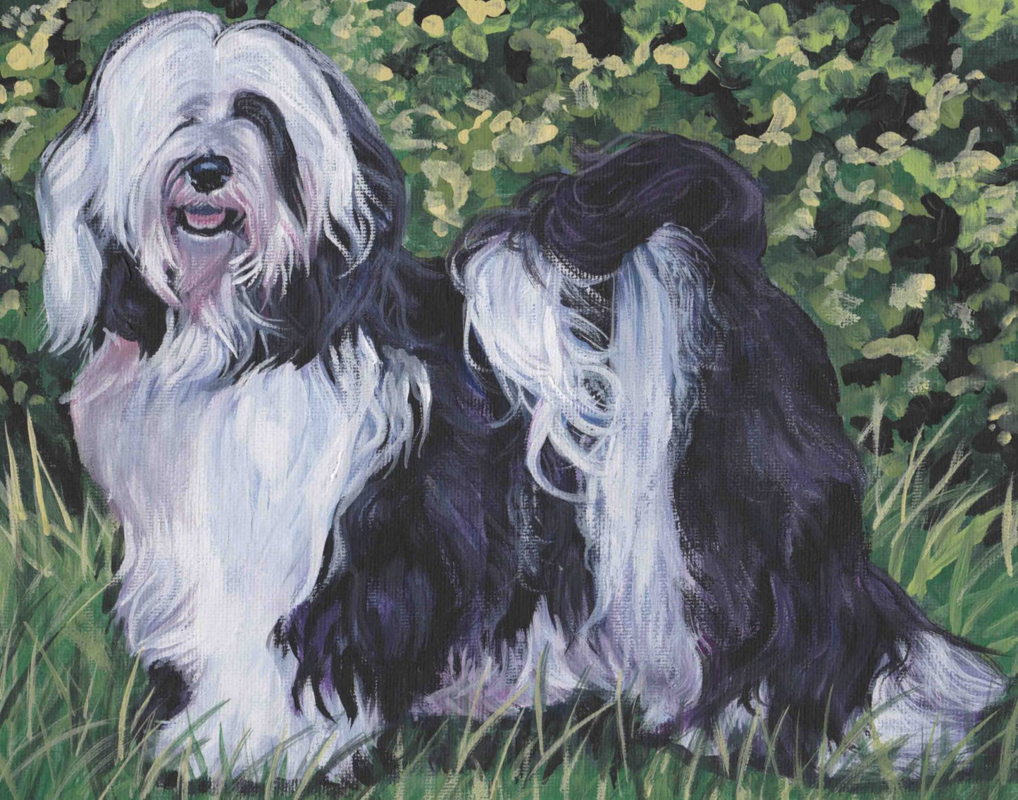 TIBETAN TERRIER dog portrait art canvas PRINT of LAShepard painting 8x10"