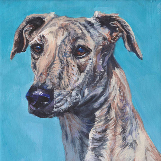 MAGYAR Agar dog art portrait canvas PRINT of LA Shepard painting 8x8" hungarian sighthound