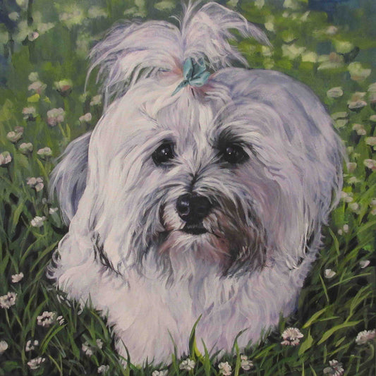 HAVANESE dog portrait art canvas PRINT of LAShepard painting 8x8"