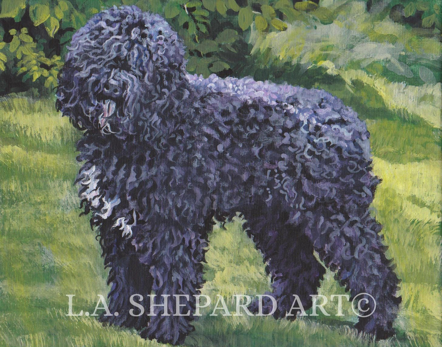 BARBET dog ART canvas PRINT of LAShepard painting 11x14"