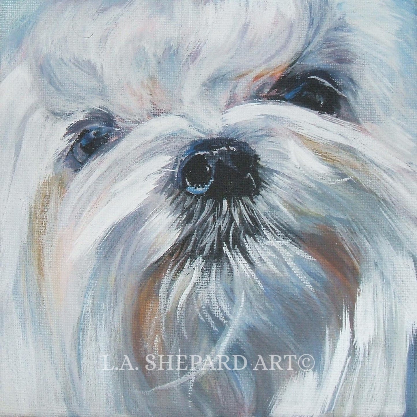 MALTESE dog PORTRAIT canvas PRINT of LAShepard painting 8x8 dog art