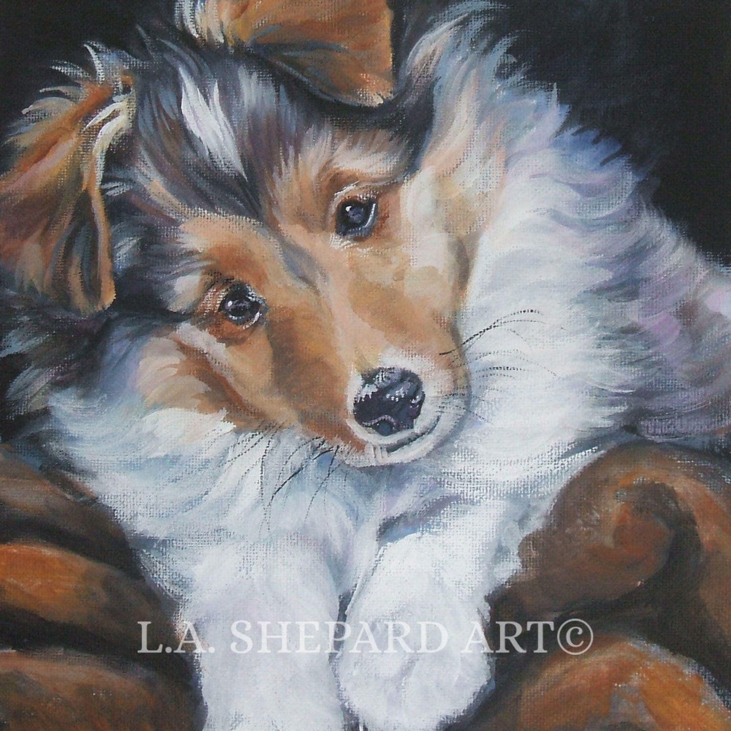 SHETLAND SHEEPDOG sheltie portrait dog art canvas PRINT of LAShepard painting 8x8"