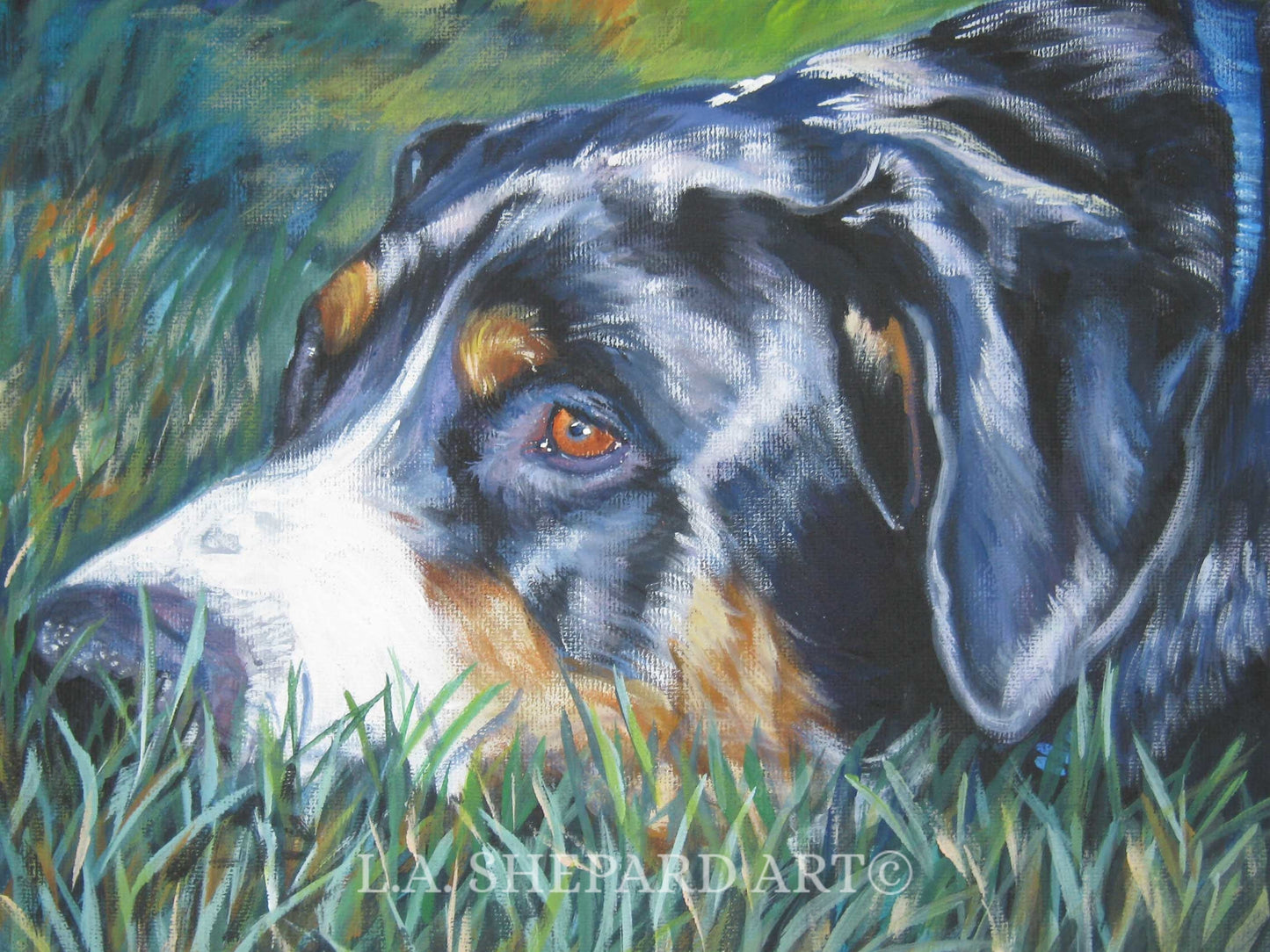 Greater Swiss Mountain DOG art PORTRAIT canvas PRINT of LAShepard painting 8x10"