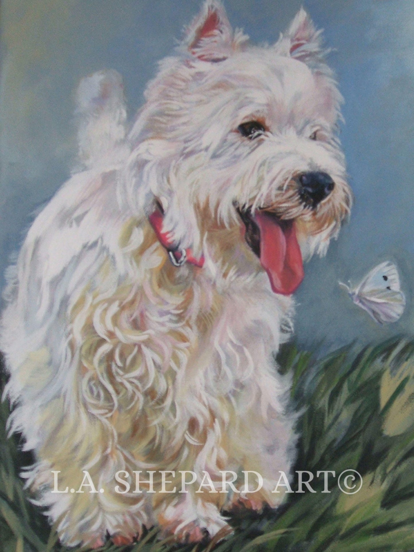 West Highland Terrier westie DOG PORTRAIT art canvas PRINT of LAShepard painting 8x10"
