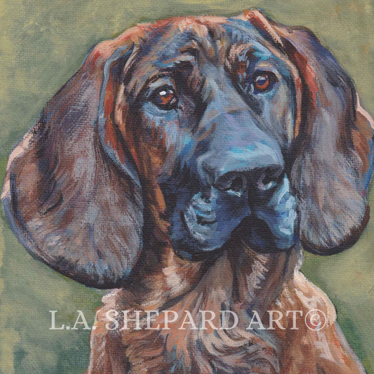 HANOVER HOUND dog portrait art canvas print of LAShepard painting 8x8" hanoveransk viltsporhund