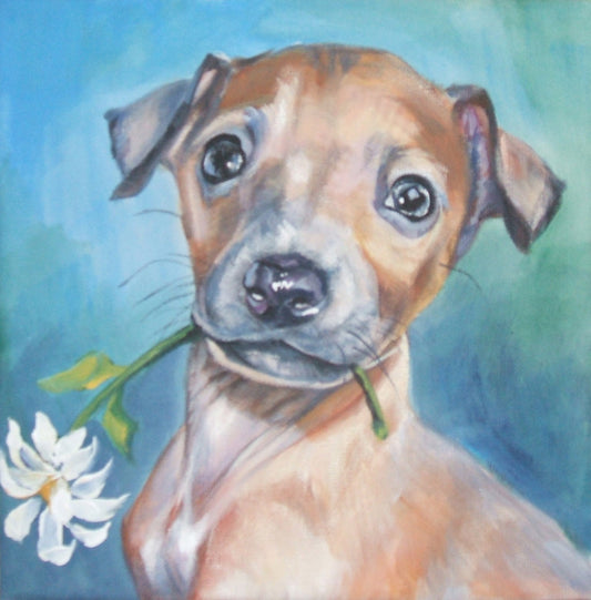 Italian Greyhound dog art CANVAS print of LA Shepard painting 8x8