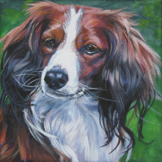 Kooiker Kooikerhondje portrait CANVAS print of LA Shepard painting 8x8