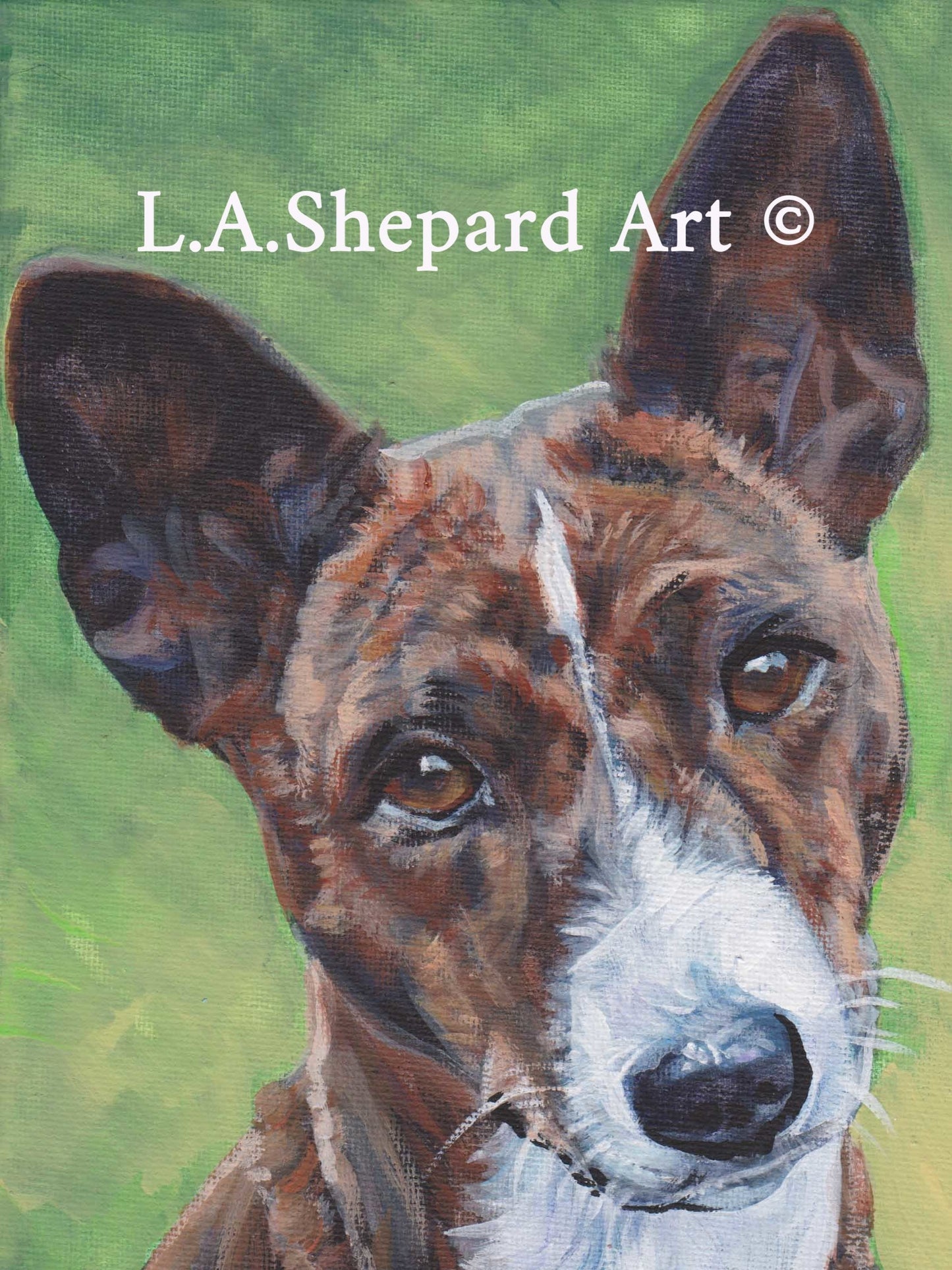 brindle BASENJI dog ART portrait PRINT of LAShepard painting 12x16"