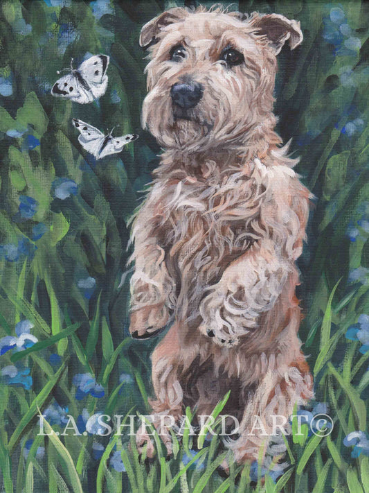 Glen of Imaal Terrier portrait dog art print of LAShepard painting 12x16" glen sit