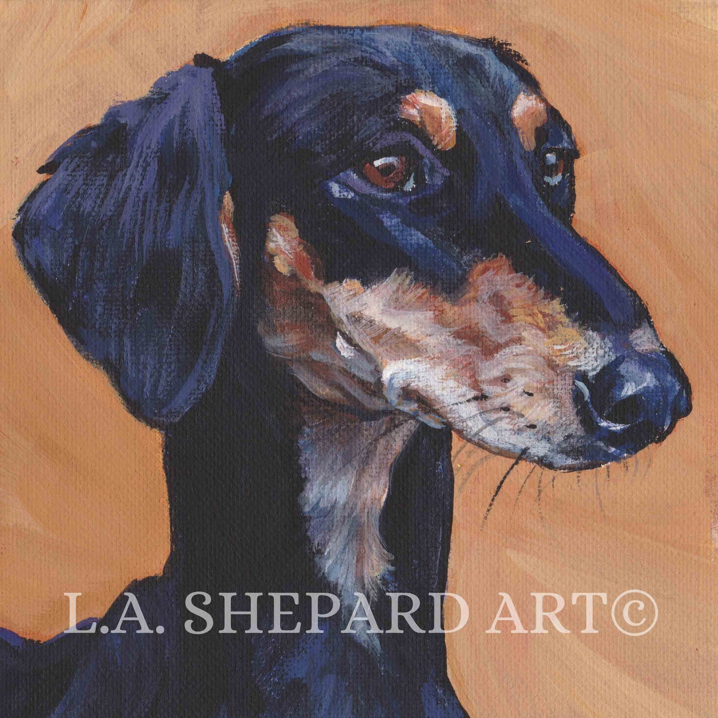 smooth SALUKI dog art portrait canvas PRINT of LAShepard painting 8x8" sighthound