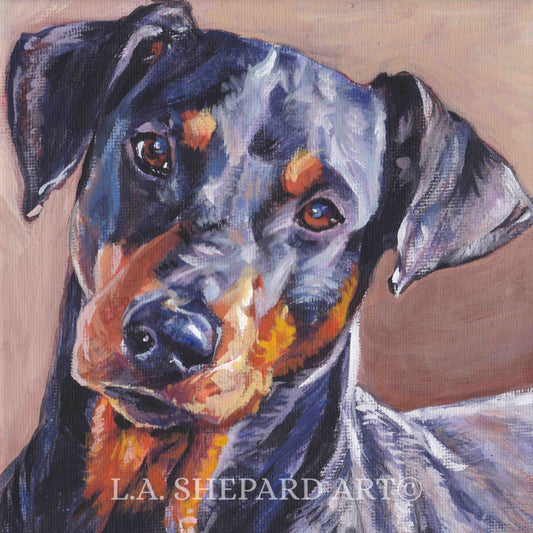 GERMAN PINSCHER dog art portrait PRINT of LAShepard painting 8x8"