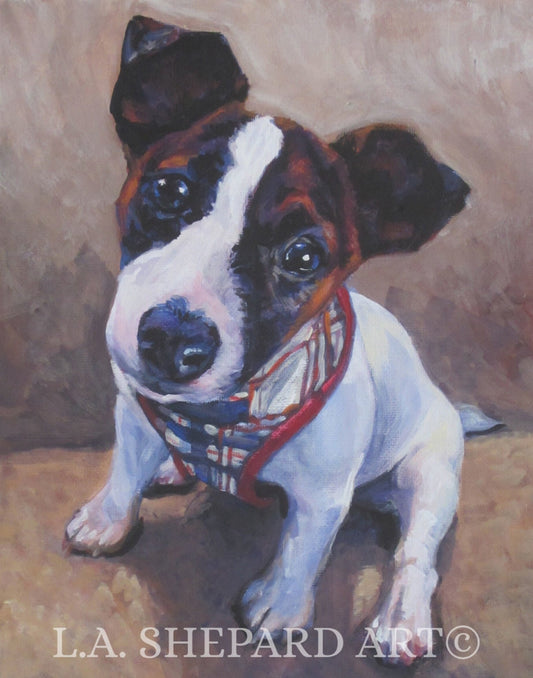 jrt JACK RUSSELL terrier dog portrait art canvas PRINT of LAShepard painting 11x14"