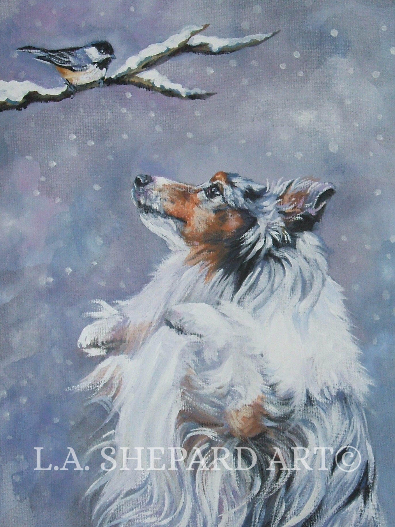 SHETLAND SHEEPDOG sheltie dog art canvas PRINT of LAShepard painting 12x16"