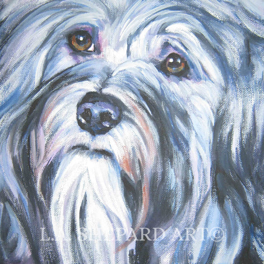 HAVANESE dog art portrait canvas PRINT of LAShepard painting 8x8