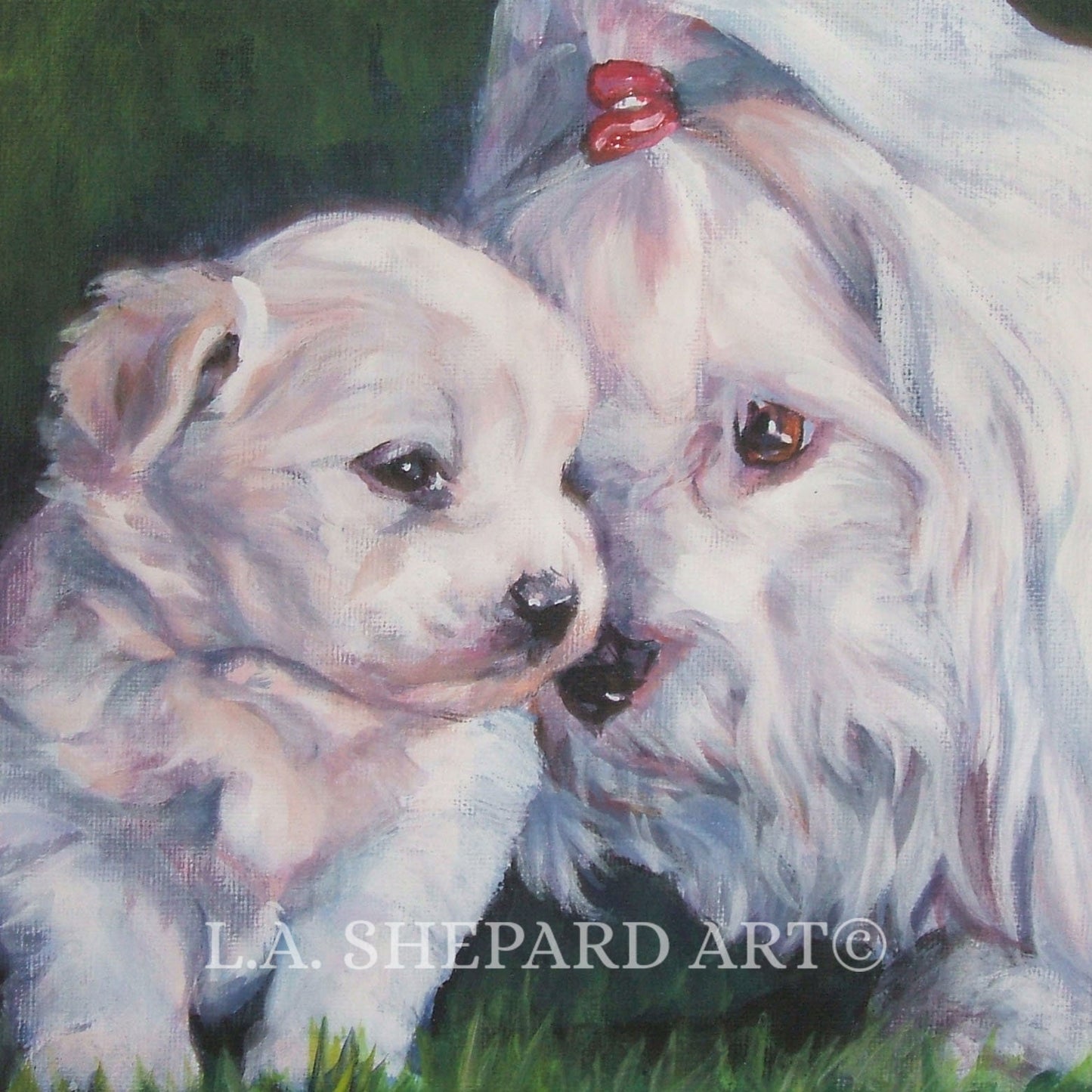 COTON de Tulear dog ART portrait canvas PRINT of LAShepard painting 8x8