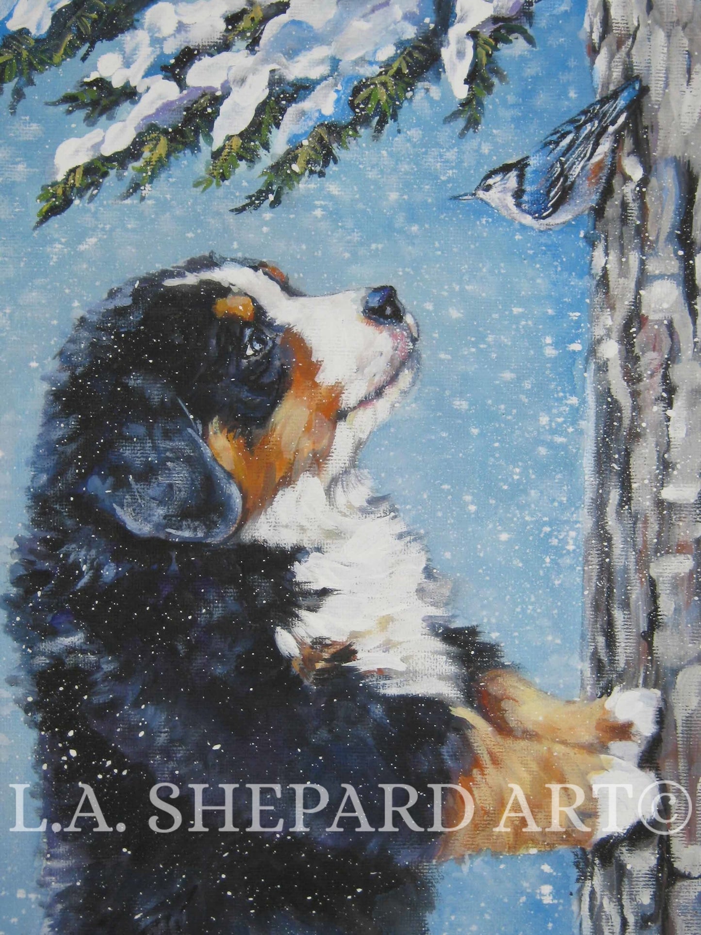 BERNESE MOUNTAIN Dog art PRINT of LAShepard painting 11x14