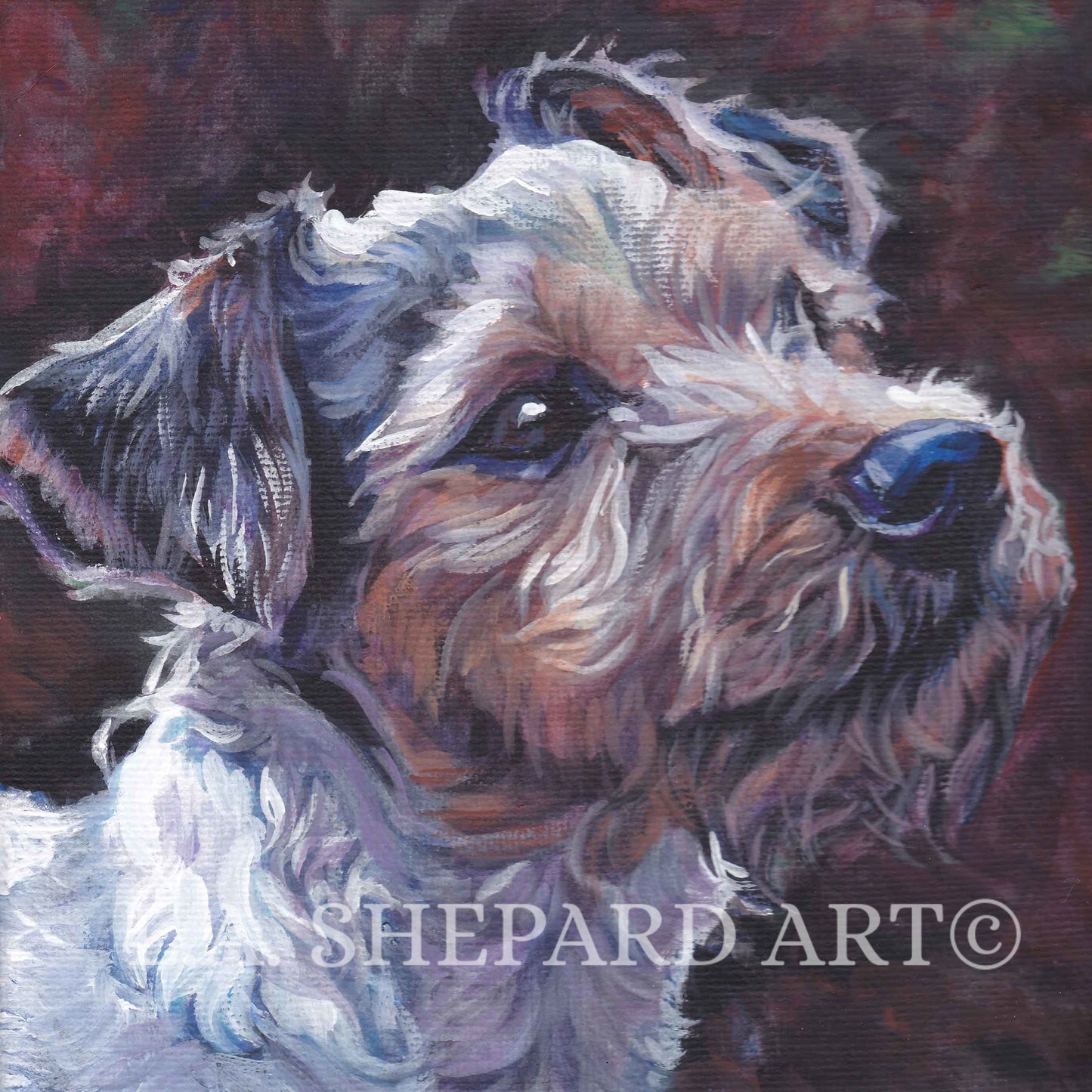 PARSON RUSSELL Terrier dog portrait art canvas PRINT of LAShepard painting 12x12"
