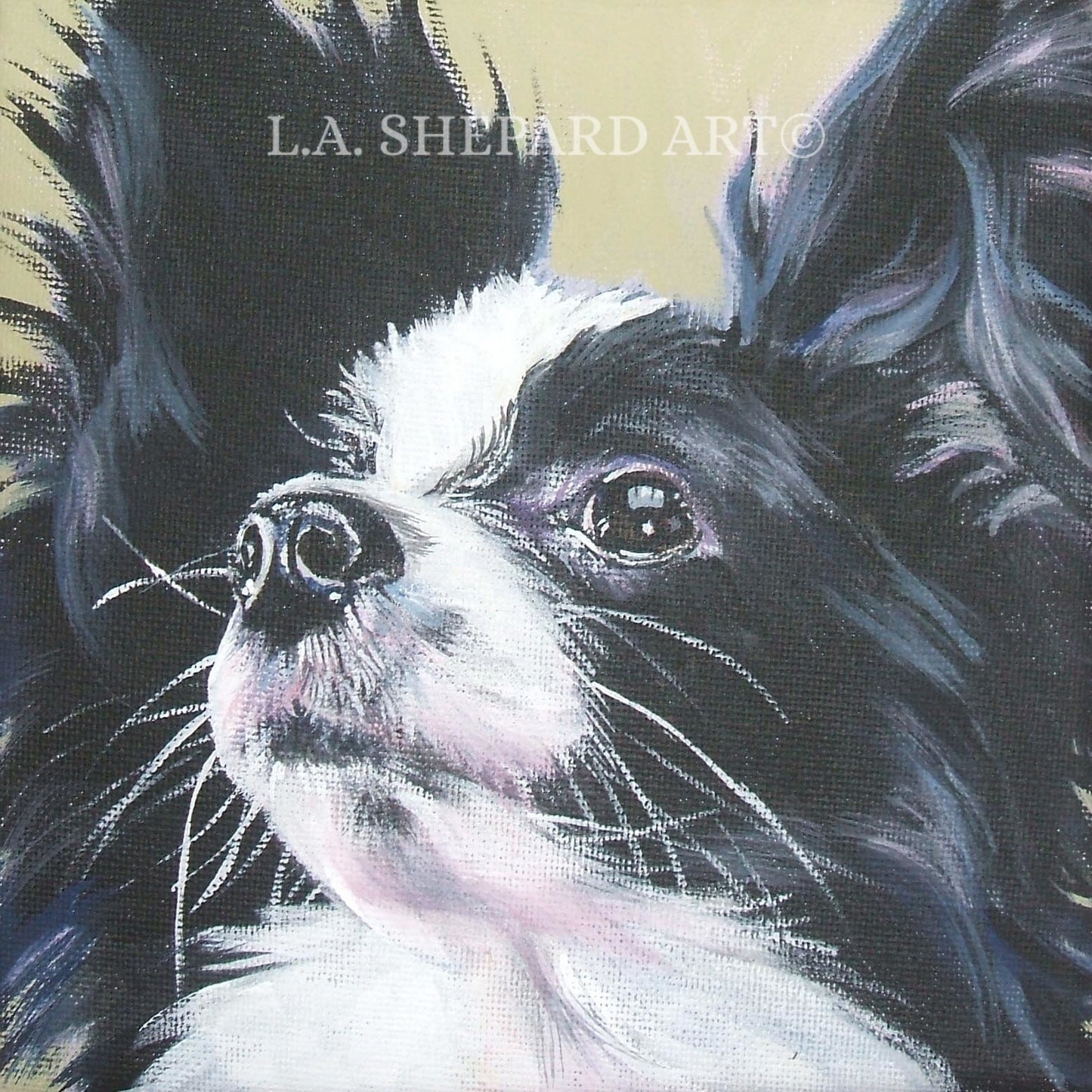 PAPILLON dog portrait art Canvas PRINT of a painting by LA Shepard 12x12