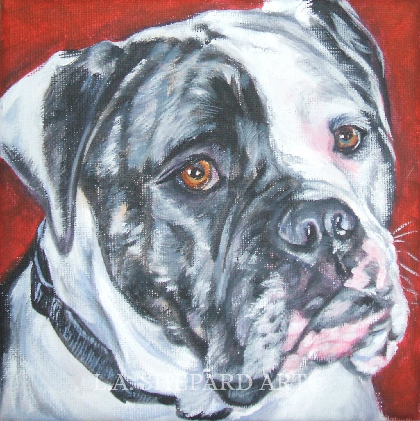 AMERICAN BULLDOG dog art portrait PRINT of LAShepard painting 12x12"