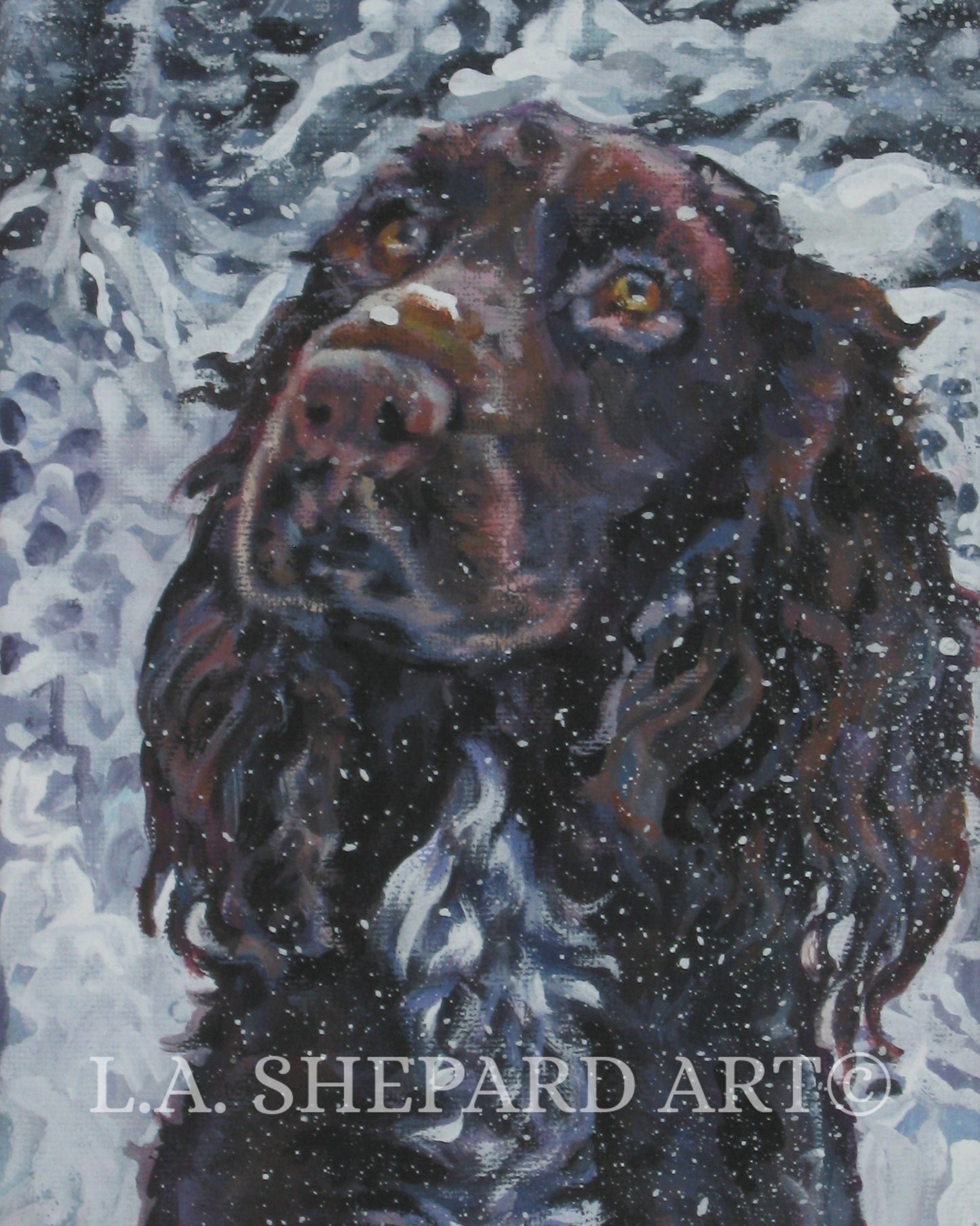 FIELD SPANIEL dog art portrait PRINT of LAShepard painting 8x10