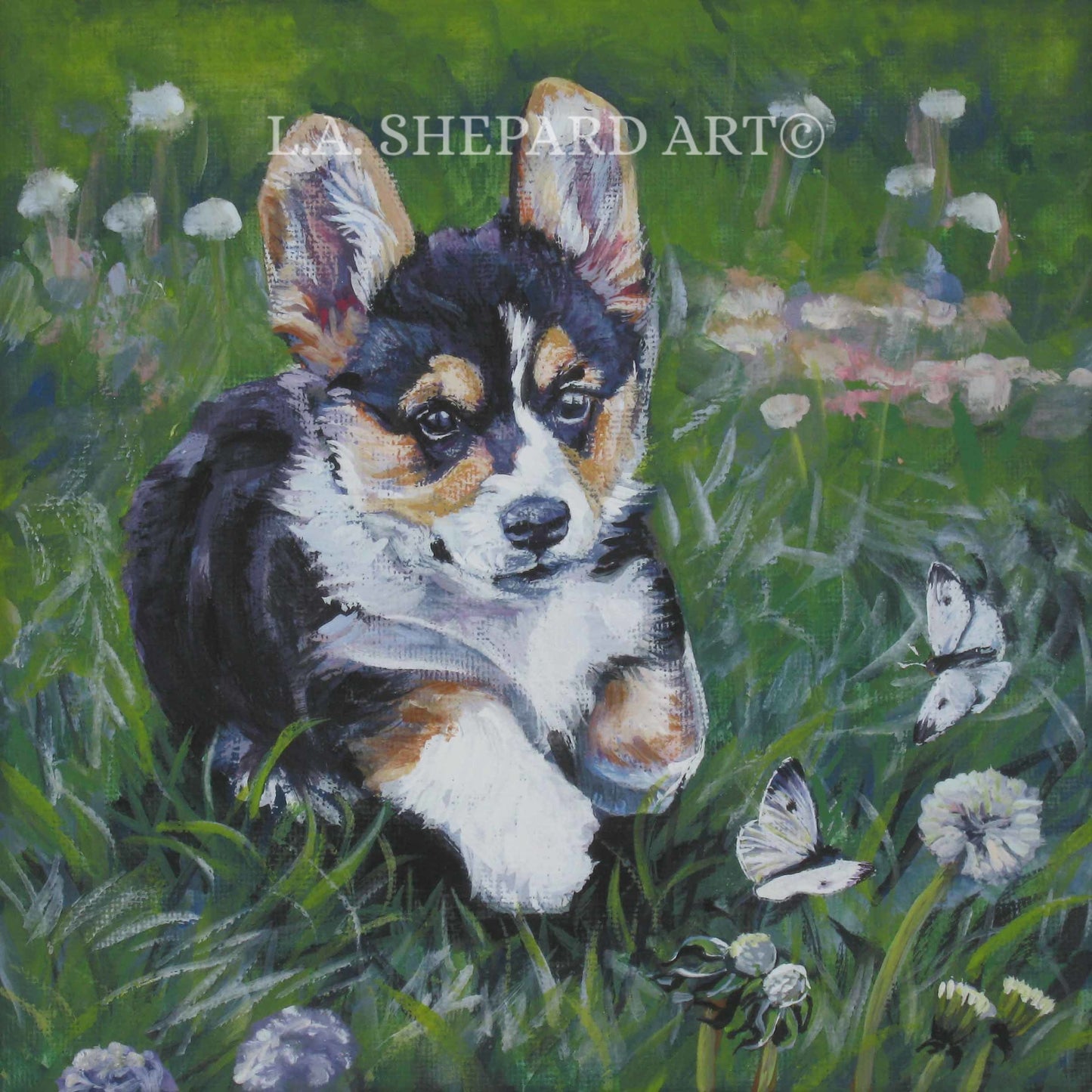 Pembroke Welsh CORGI dog art canvas PRINT of LA Shepard painting 8x8