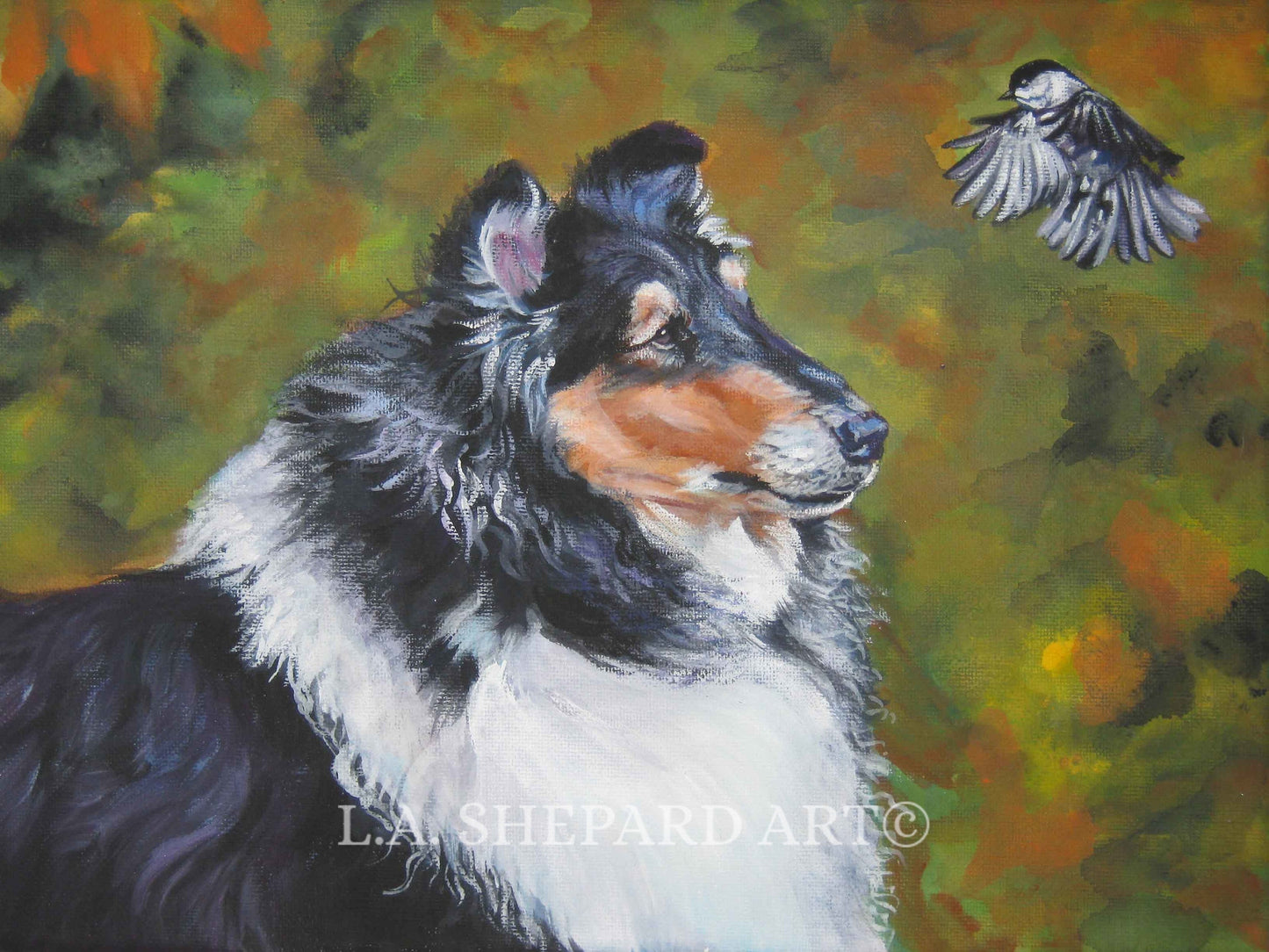 Rough COLLIE dog art portrait canvas PRINT of LA Shepard painting 12x16