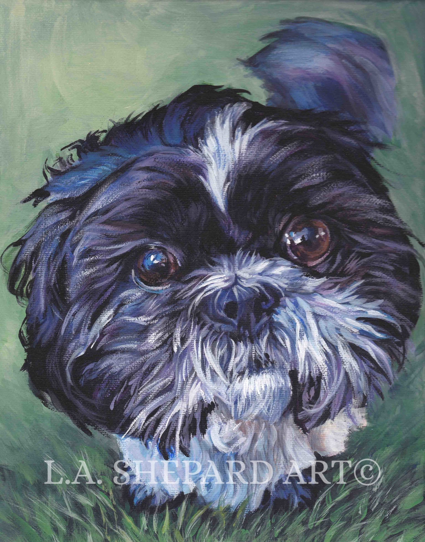 SHIH TZU Dog art portrait canvas PRINT of LAShepard painting 8x10