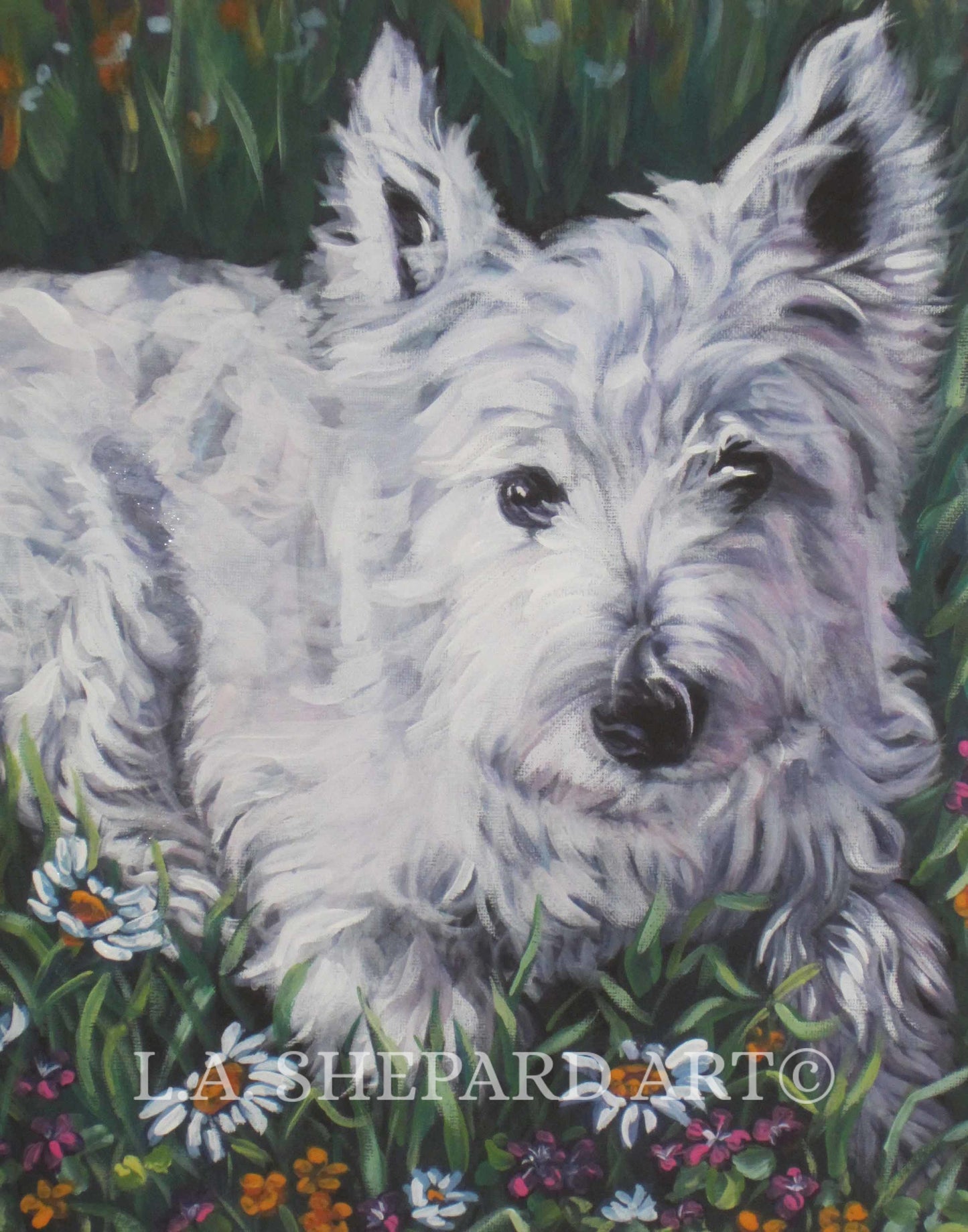 West Highland Terrier westie art CANVAS print of LA Shepard painting 12x16 dog portrait