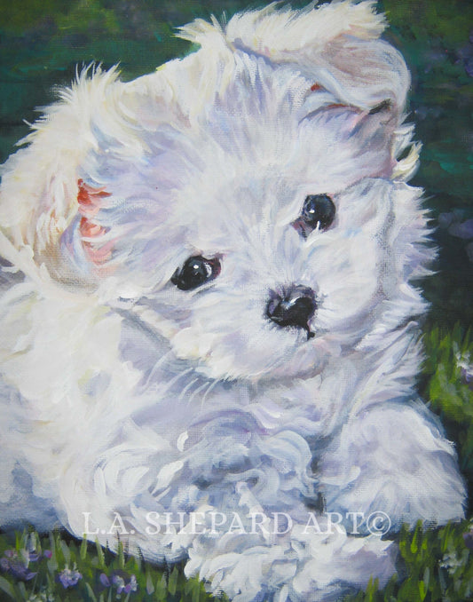 MALTESE dog art portrait canvas PRINT of LA Shepard painting 11x14