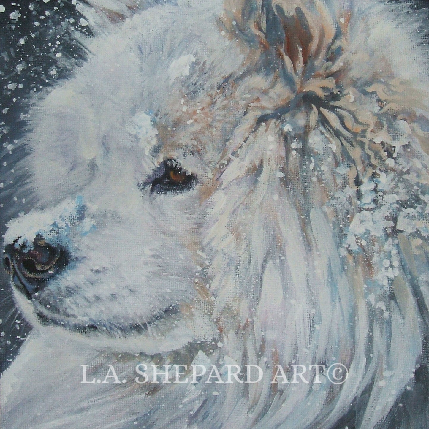 SAMOYED dog art portrait canvas PRINT of LA Shepard painting 8x8