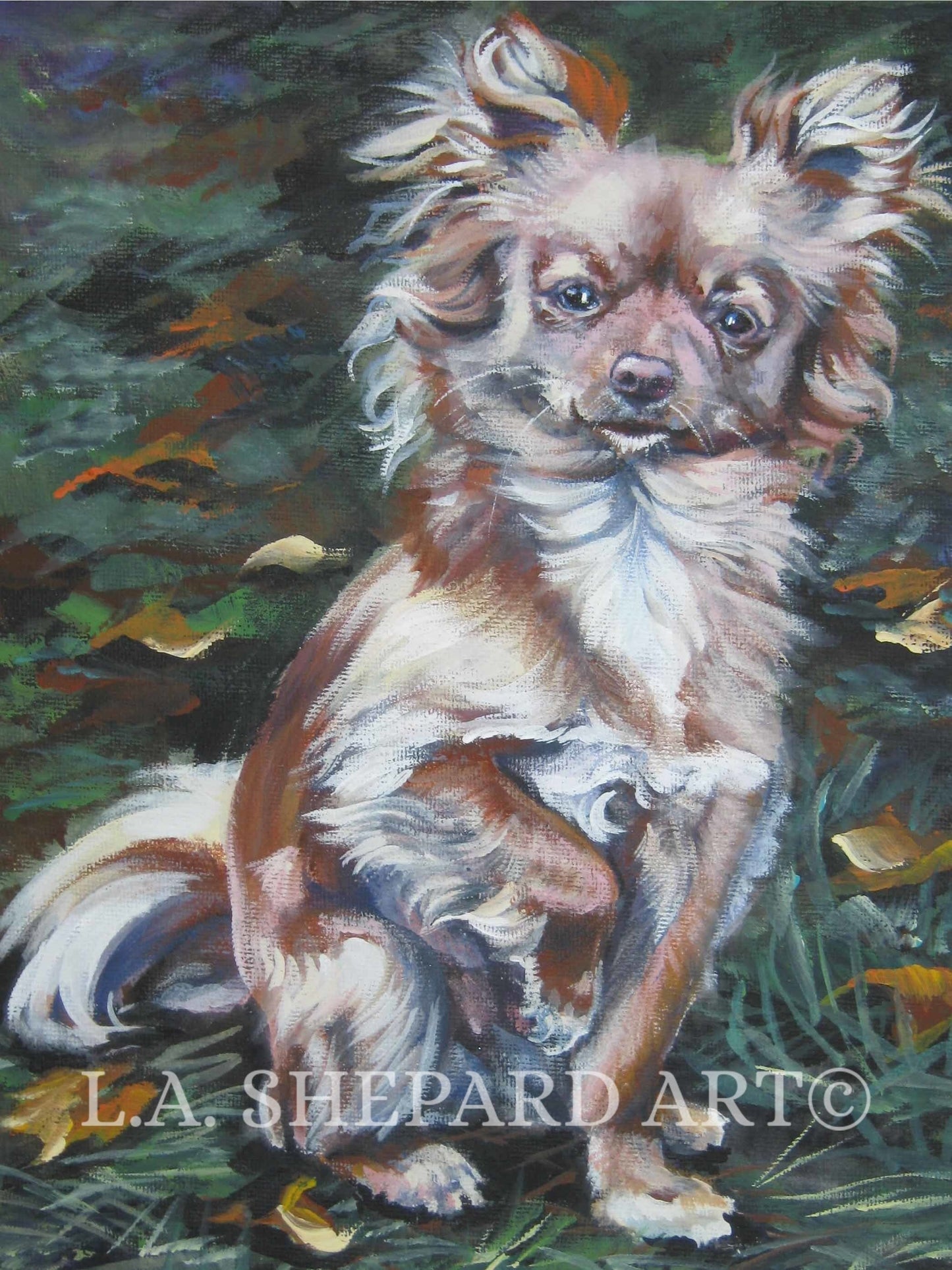 CHIHUAHUA dog art canvas PRINT of LA Shepard painting 8x10
