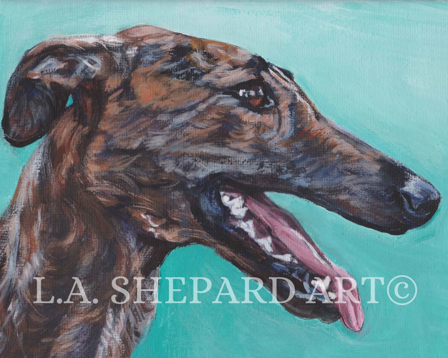 Galgo Espanol spanish GREYHOUND dog art canvas PRINT of painting by LAShepard 8x10"