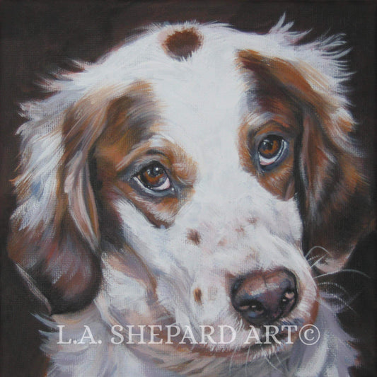 Irish Red And White Setter art print PRINT of LA Shepard painting 8x8