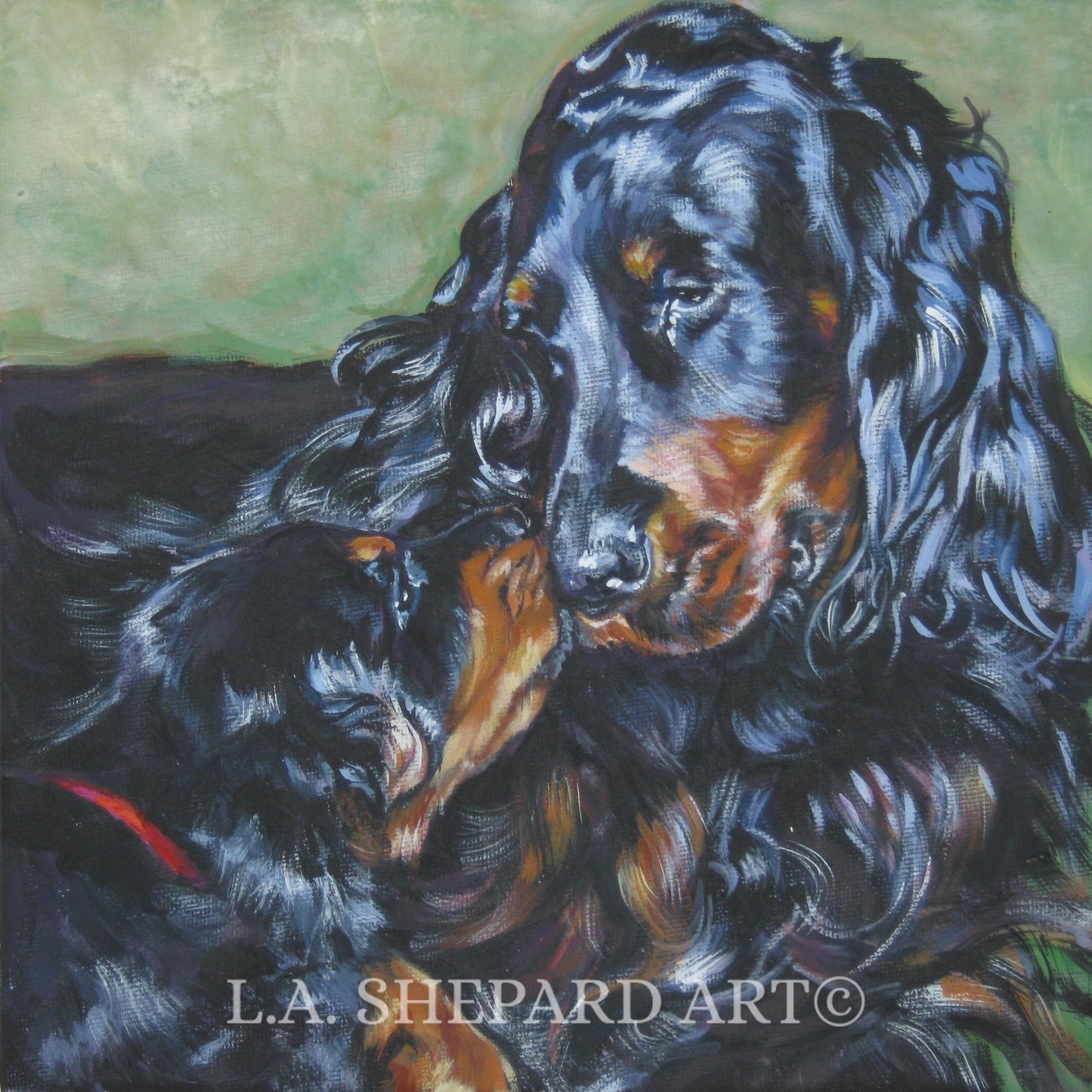 GORDON Setter dog PORTRAIT art canvas PRINT of LAShepard painting 12x12"