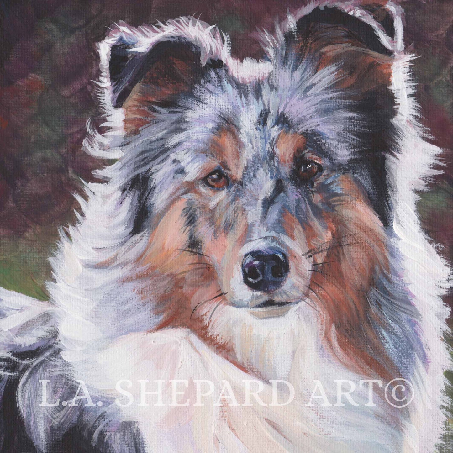 SHETLAND SHEEPDOG blue merle SHELTIE dog art print of LAShepard painting 8x8
