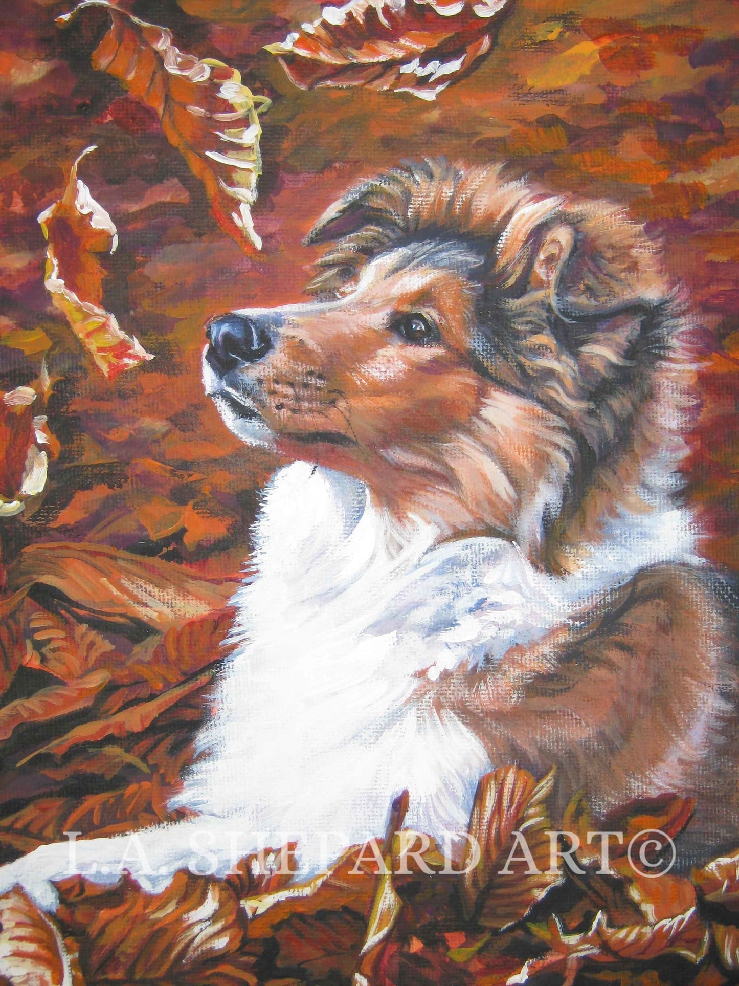 Rough COLLIE Dog PORTRAIT art print of LAShepard painting 8x10" autumn puppy