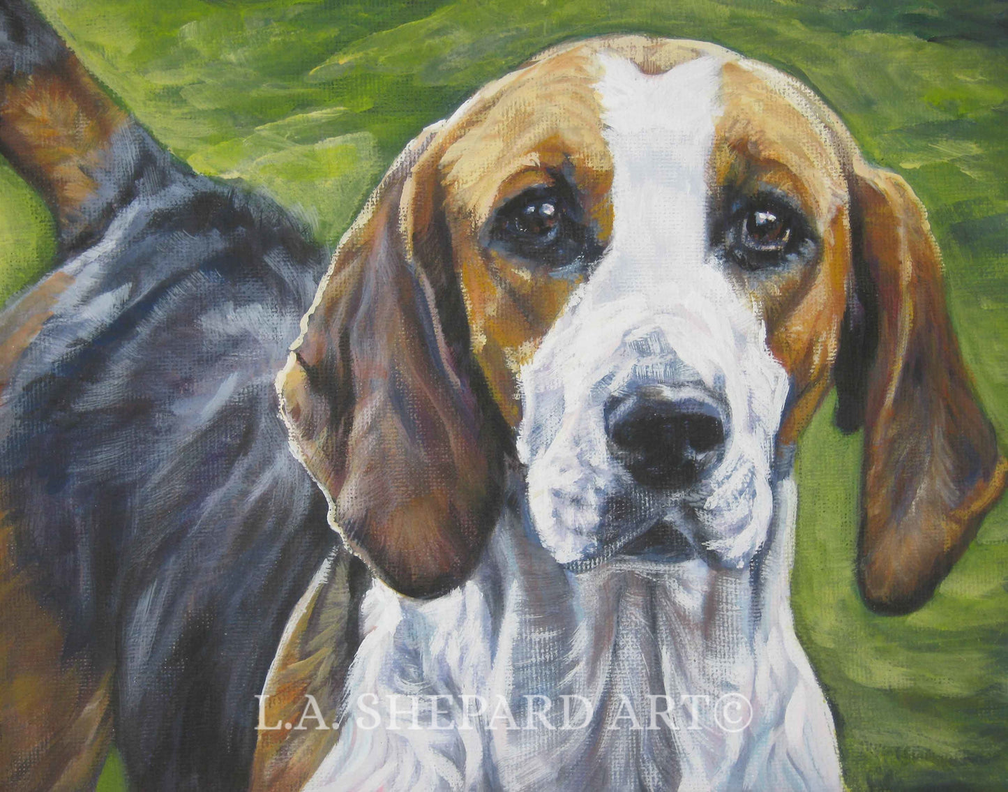 English FOXHOUND dog art canvas PRINT of LA Shepard painting 8x10 portrait