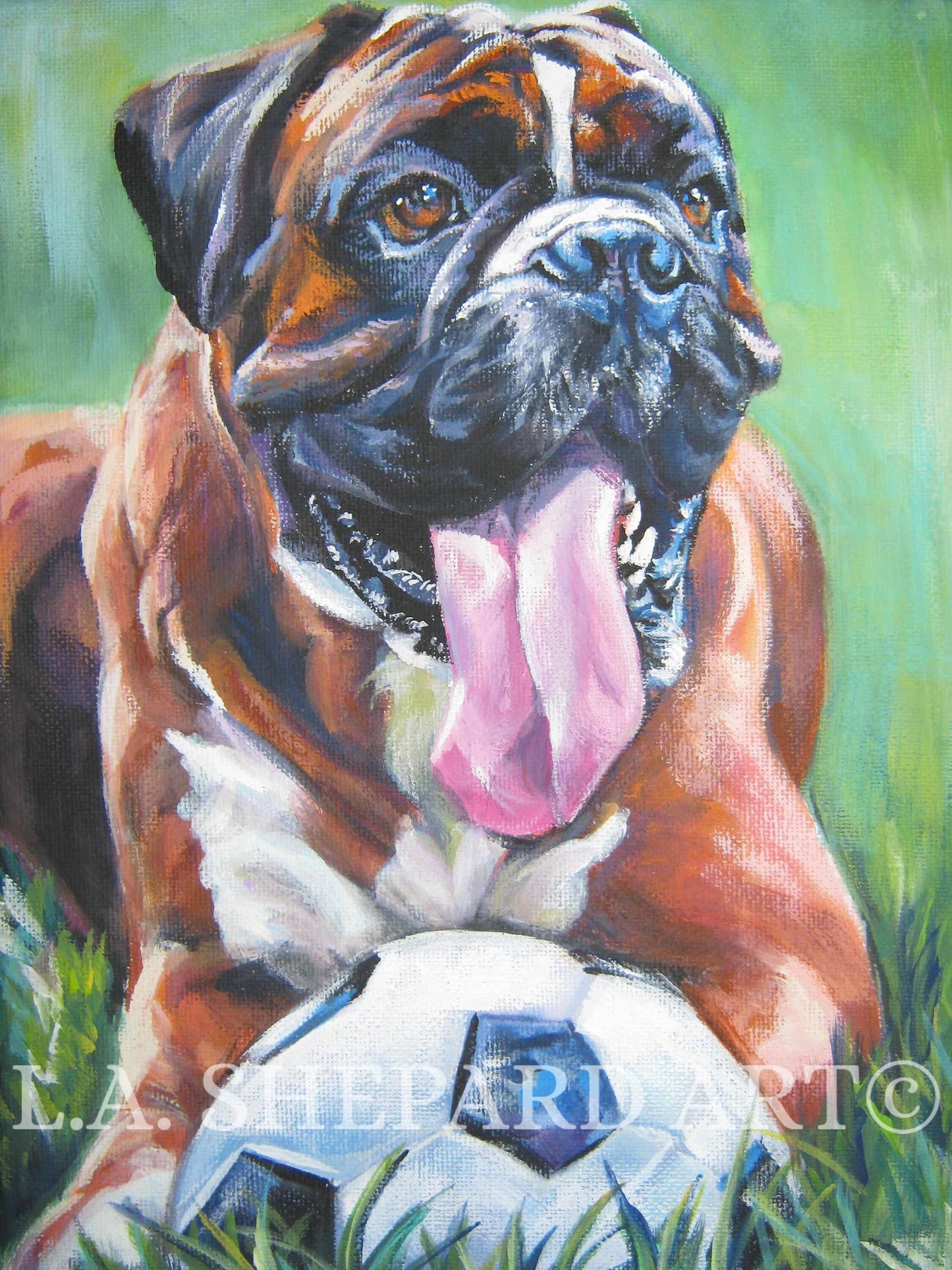 BOXER DOG art portrait PRINT of LAShepard painting 12x16"