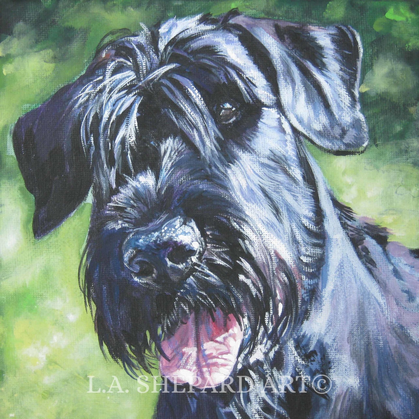 GIANT SCHNAUZER dog art portrait canvas PRINT of LAShepard painting 12x12