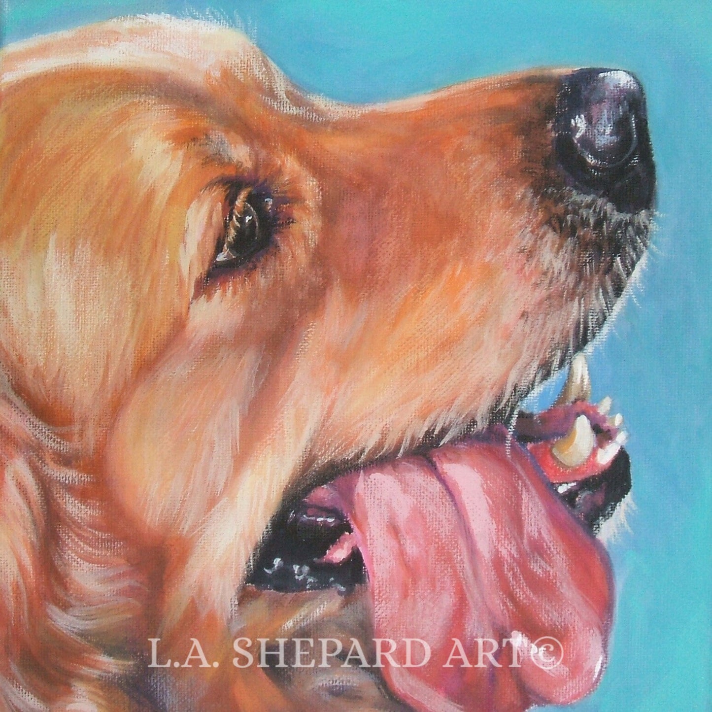 GOLDEN RETRIEVER dog art portrait PRINT of LAShepard painting 8x8