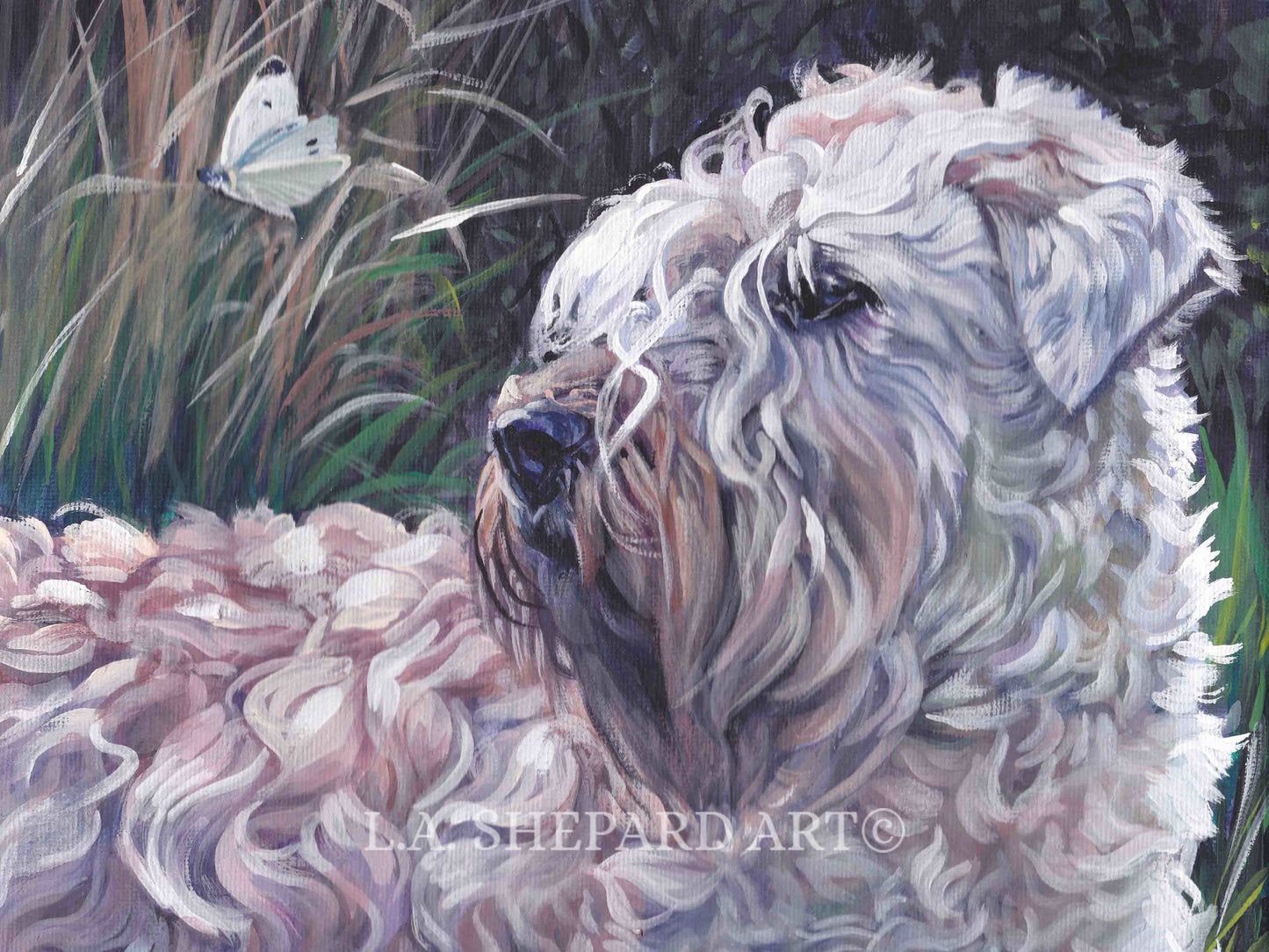 WHEATEN TERRIER dog portrait art PRINT of LAShepard painting 8x10"
