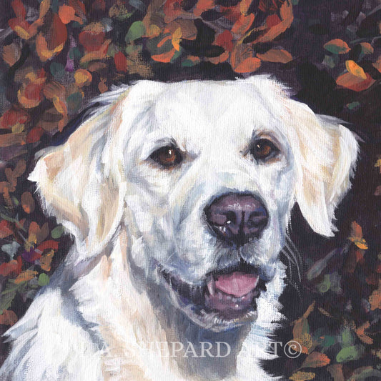 GOLDEN RETRIEVER dog art portrait canvas PRINT of LAShepard painting 8x8