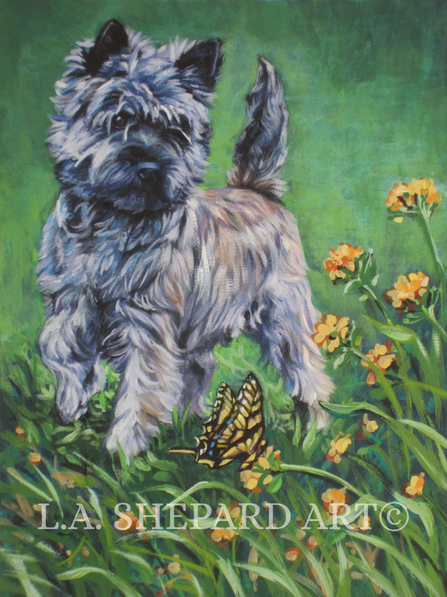 CAIRN TERRIER dog art PRINT of LAShepard painting 8x10"