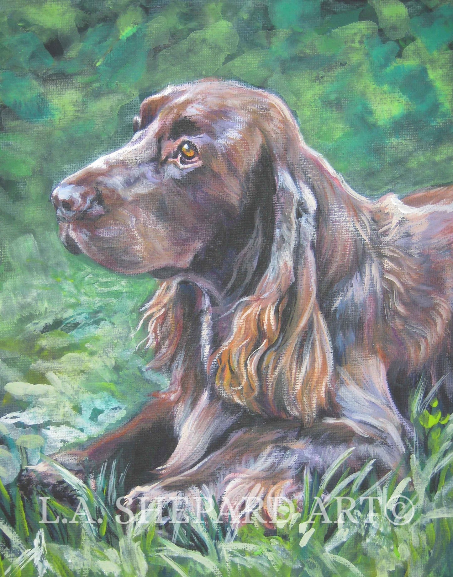 Field spaniel dog art portrait CANVAS print of LA Shepard painting 11x14
