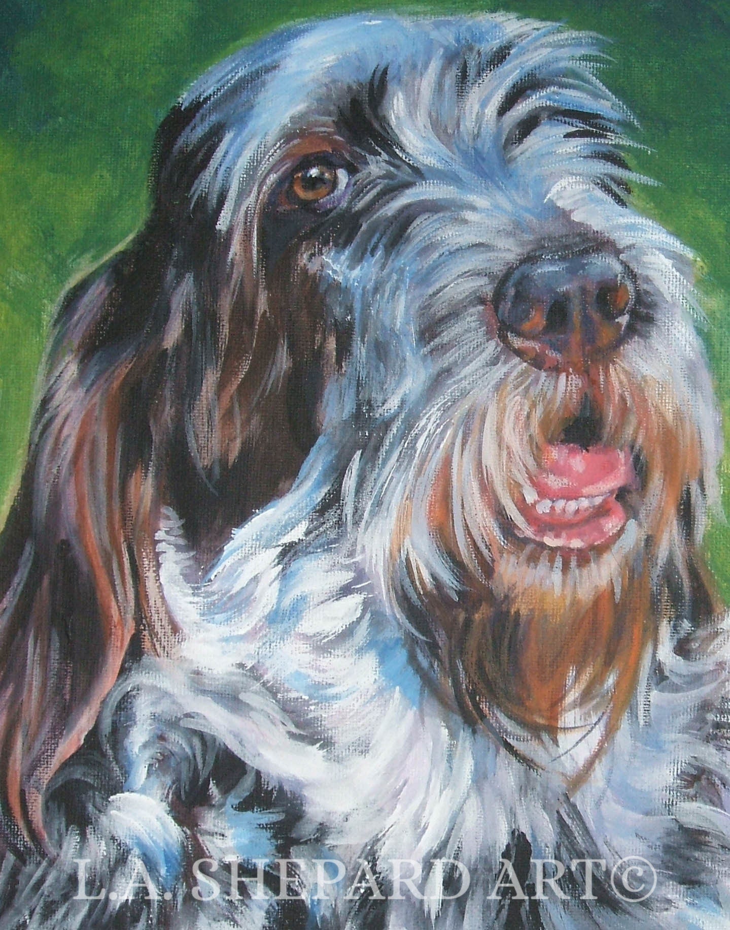 Spinone Italiano dog art portrait print of LA Shepard painting 8x10"