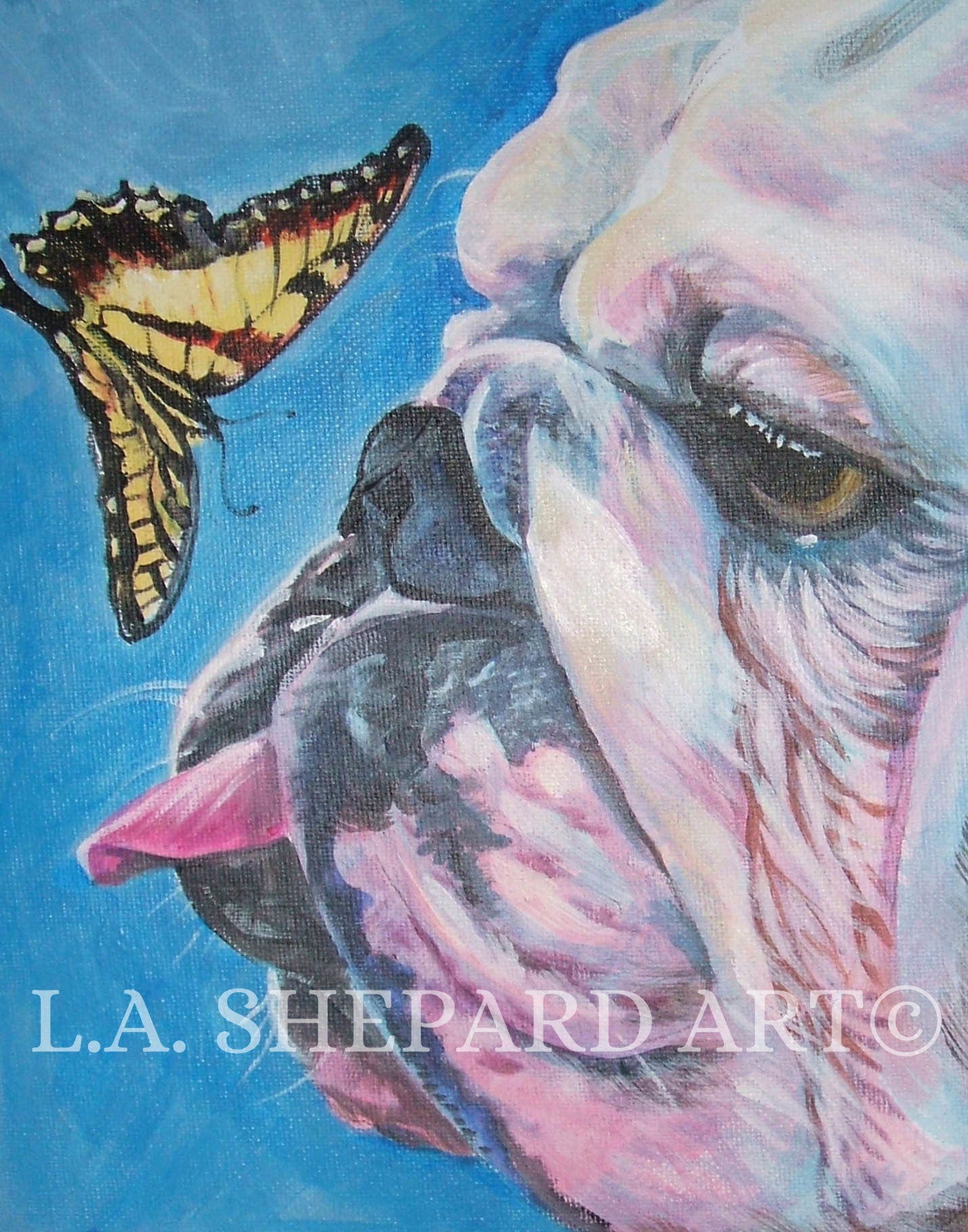 ENGLISH BULLDOG dog art portrait canvas PRINT of LAShepard painting 8x10"